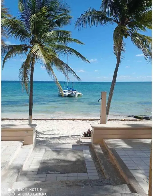 Escape To Serenity By The Sea! Beachfront Apartment With Pool, Just 5 Minutes From The Ferry Cancun